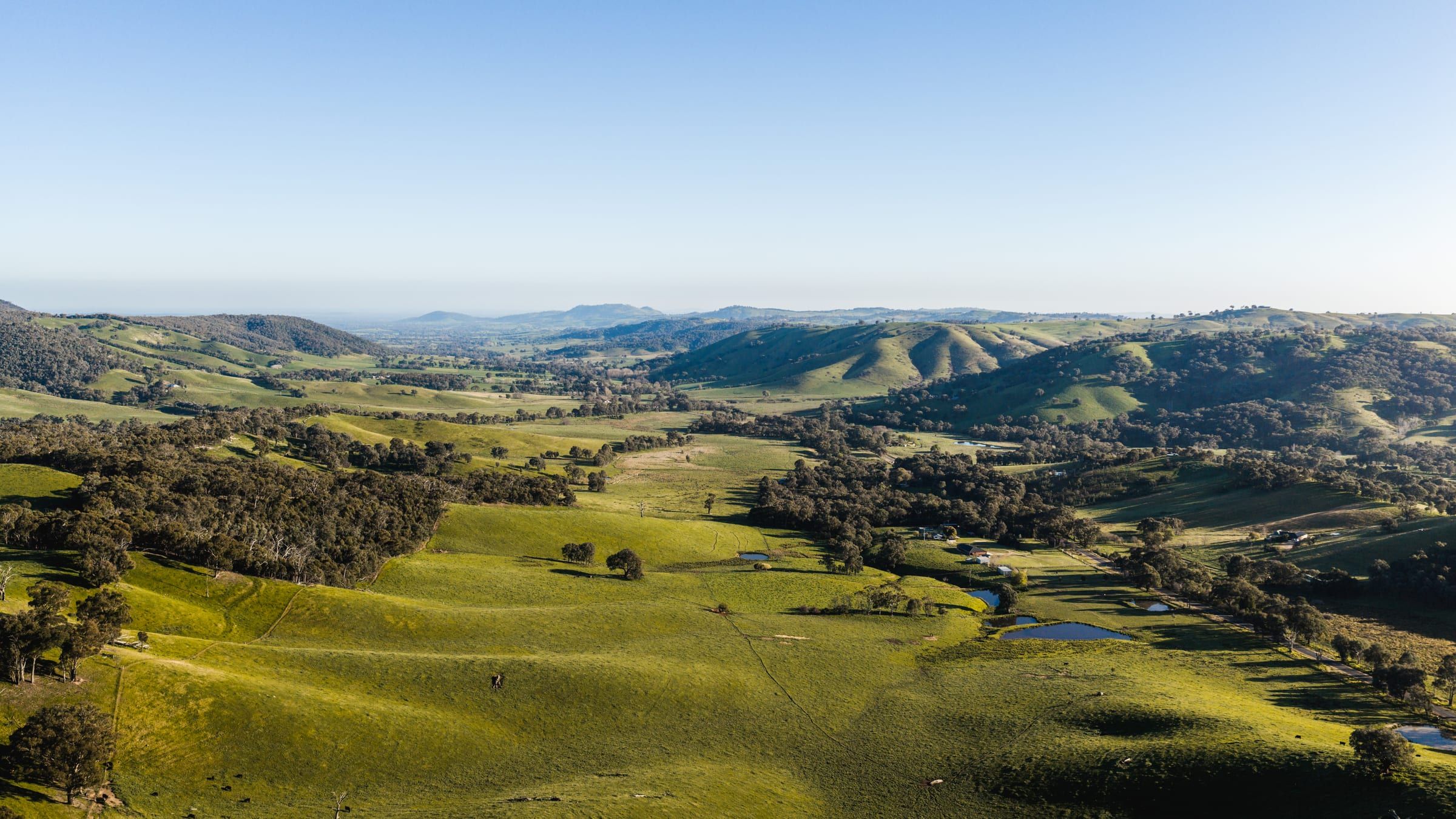 Bright green paddocks and scattered trees stretching towards distant hills under a clear sky.